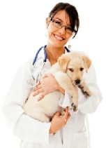 Juanita, Kimbrough, dog, breeder, juanita-kimbrough, dog-breeder, havanese, maxanita's, hat's, off, to, th, lady, ch, champion, regina, frohoff, judjge, aca judge, regina-frohoff, pic 