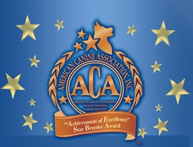 Juanita Kimbrough is a Profesional Dog Breeder and Dog SHow Handler.  Havanese Ch Maxanita's Hat's Off To The Lady was the winning dog at ACA's Annual Champion of Champions held in Ketchum, Oklahoma.  ACA Judge Regina Frohoff was the presiding Judge at the 2014 event.  Breeder/owner and handler: &nbsp;Juanita Kimbrough.  